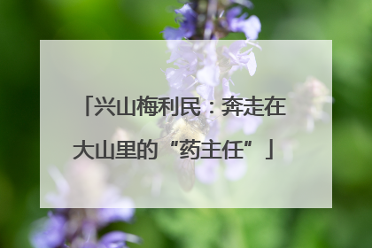 兴山梅利民：奔走在大山里的“药主任”