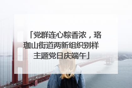 党群连心粽香浓，珞珈山街道两新组织别样主题党日庆端午