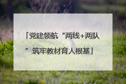 党建领航“两线+两队”筑牢教材育人根基