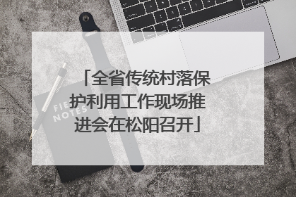 全省传统村落保护利用工作现场推进会在松阳召开