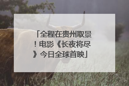 全程在贵州取景！电影《长夜将尽》今日全球首映