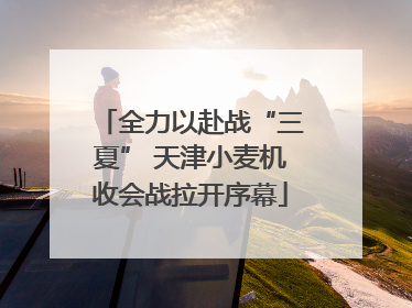 全力以赴战“三夏” 天津小麦机收会战拉开序幕
