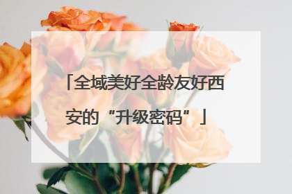 全域美好全龄友好西安的“升级密码”