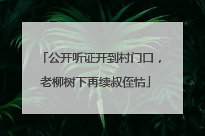公开听证开到村门口，老柳树下再续叔侄情