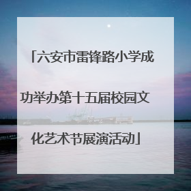 六安市雷锋路小学成功举办第十五届校园文化艺术节展演活动