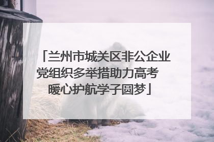 兰州市城关区非公企业党组织多举措助力高考 暖心护航学子圆梦