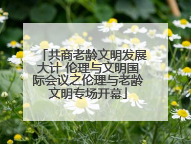 共商老龄文明发展大计 伦理与文明国际会议之伦理与老龄文明专场开幕