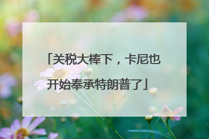 关税大棒下，卡尼也开始奉承特朗普了