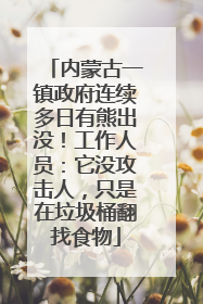 内蒙古一镇政府连续多日有熊出没！工作人员：它没攻击人，只是在垃圾桶翻找食物