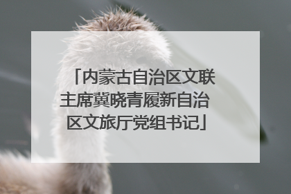 内蒙古自治区文联主席冀晓青履新自治区文旅厅党组书记