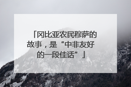 冈比亚农民穆萨的故事，是“中非友好的一段佳话”