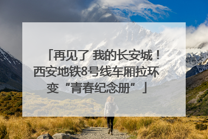 再见了 我的长安城！西安地铁8号线车厢拉环变“青春纪念册”