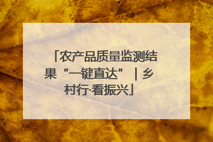 农产品质量监测结果“一键直达”｜乡村行·看振兴
