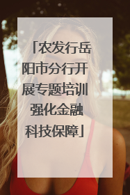 农发行岳阳市分行开展专题培训 强化金融科技保障