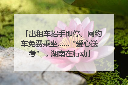 出租车招手即停、网约车免费乘坐……“爱心送考”，湖南在行动