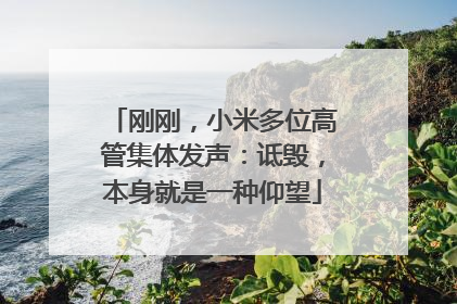 刚刚，小米多位高管集体发声：诋毁，本身就是一种仰望