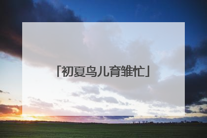 初夏鸟儿育雏忙