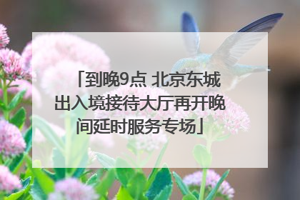 到晚9点 北京东城出入境接待大厅再开晚间延时服务专场