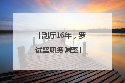副厅16年，罗试坚职务调整