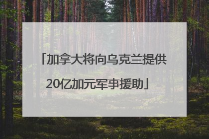 加拿大将向乌克兰提供20亿加元军事援助