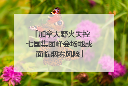 加拿大野火失控 七国集团峰会场地或面临烟雾风险