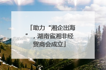 助力“湘企出海”，湖南省湘非经贸商会成立