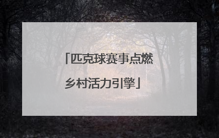匹克球赛事点燃乡村活力引擎