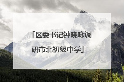 区委书记钟晓咏调研市北初级中学