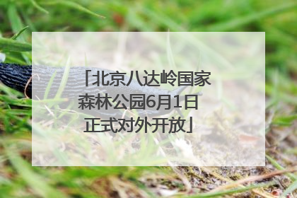 北京八达岭国家森林公园6月1日正式对外开放