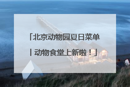 北京动物园夏日菜单丨动物食堂上新啦！