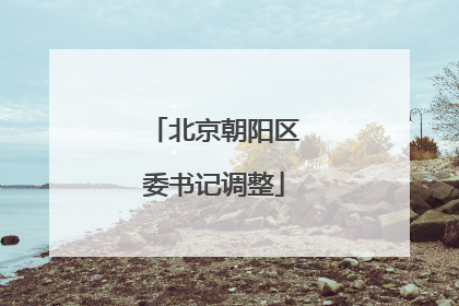 北京朝阳区委书记调整