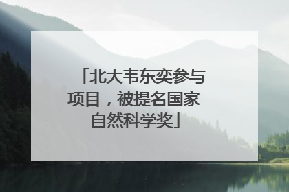 北大韦东奕参与项目，被提名国家自然科学奖