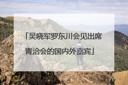 吴晓军罗东川会见出席青洽会的国内外嘉宾