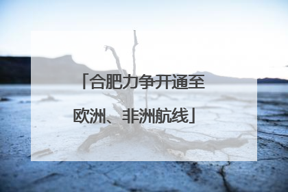 合肥力争开通至欧洲、非洲航线