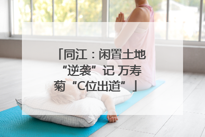 同江：闲置土地“逆袭”记 万寿菊“C位出道”
