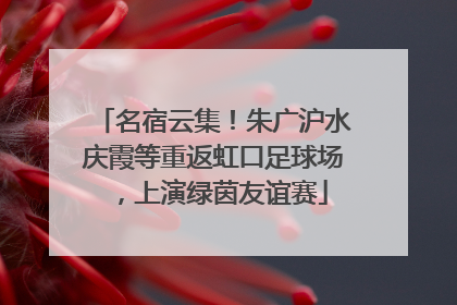 名宿云集！朱广沪水庆霞等重返虹口足球场，上演绿茵友谊赛