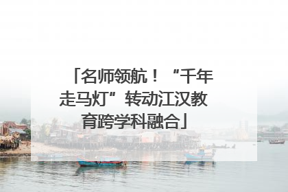 名师领航！“千年走马灯”转动江汉教育跨学科融合