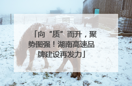 向“质”而升，聚势图强！湖南高速品牌建设再发力