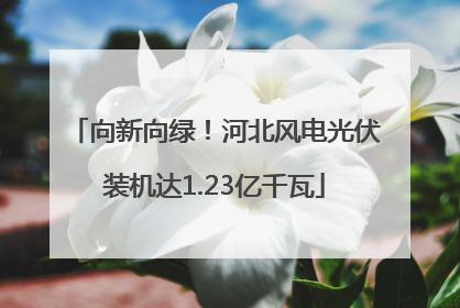 向新向绿！河北风电光伏装机达1.23亿千瓦