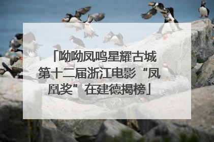 呦呦凤鸣星耀古城 第十二届浙江电影“凤凰奖”在建德揭榜