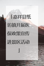 嘉祥县纸坊镇开展医保政策宣传进景区活动