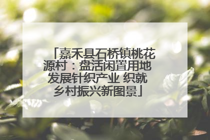 嘉禾县石桥镇桃花源村：盘活闲置用地发展针织产业 织就乡村振兴新图景