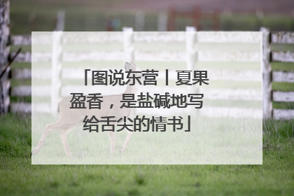 图说东营丨夏果盈香，是盐碱地写给舌尖的情书
