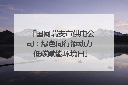 国网瑞安市供电公司：绿色同行添动力 低碳赋能环境日