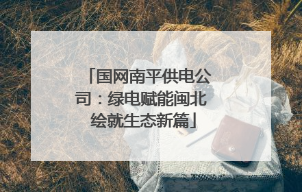 国网南平供电公司：绿电赋能闽北 绘就生态新篇