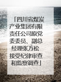 四川省煤炭产业集团有限责任公司原党委委员、副总经理张万松 接受纪律审查和监察调查