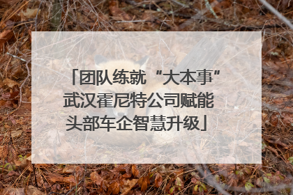 团队练就“大本事” 武汉霍尼特公司赋能头部车企智慧升级