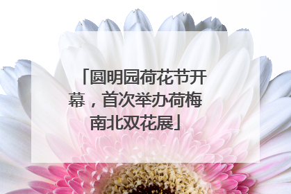 圆明园荷花节开幕，首次举办荷梅南北双花展