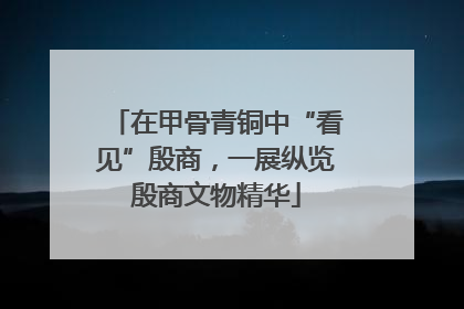 在甲骨青铜中“看见”殷商，一展纵览殷商文物精华