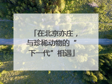 在北京亦庄，与珍稀动物的“下一代”相遇